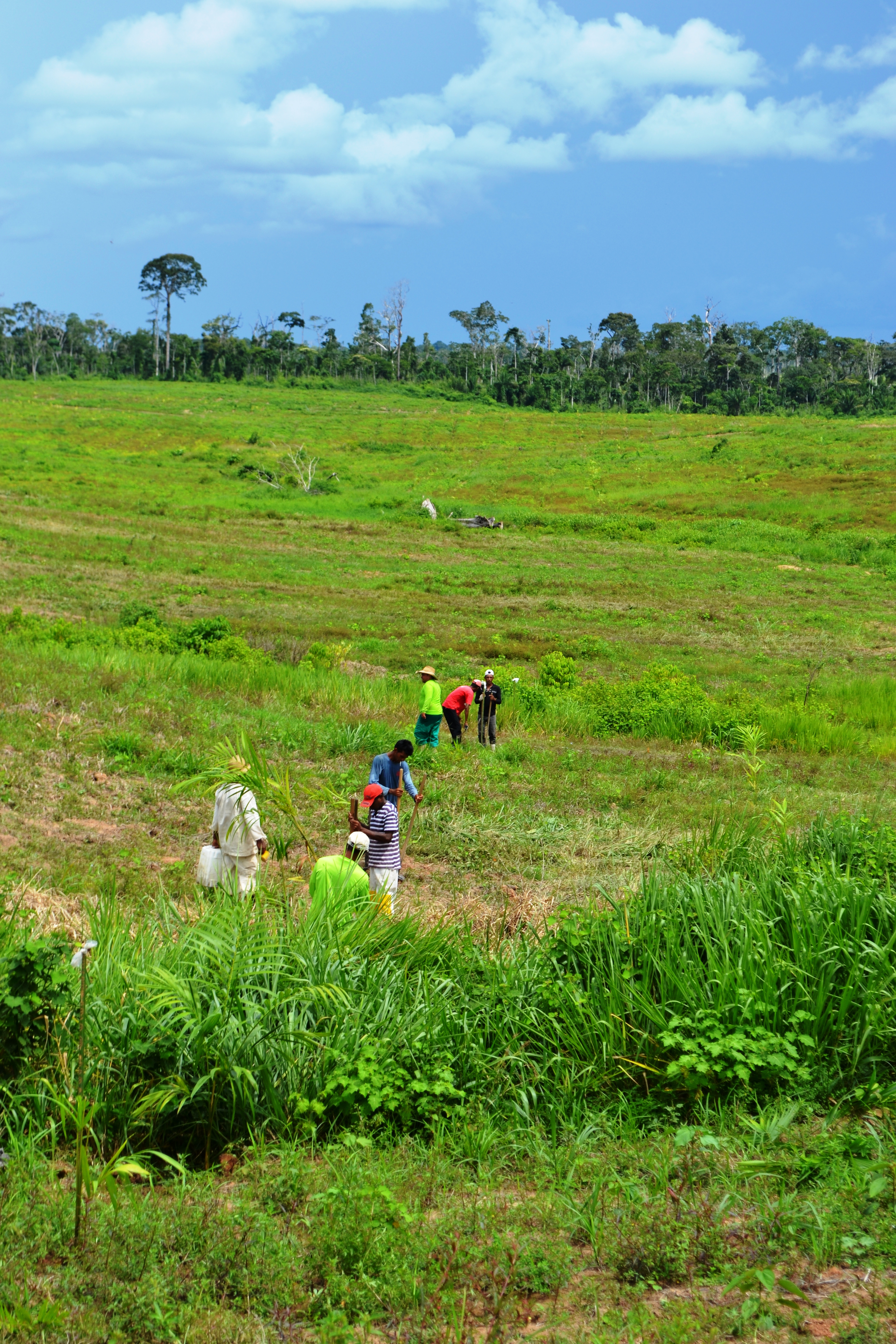 Trinta empregos diretos são gerados na primeira etapa do projeto.