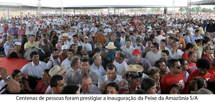 Peixe_mjitagente_in11