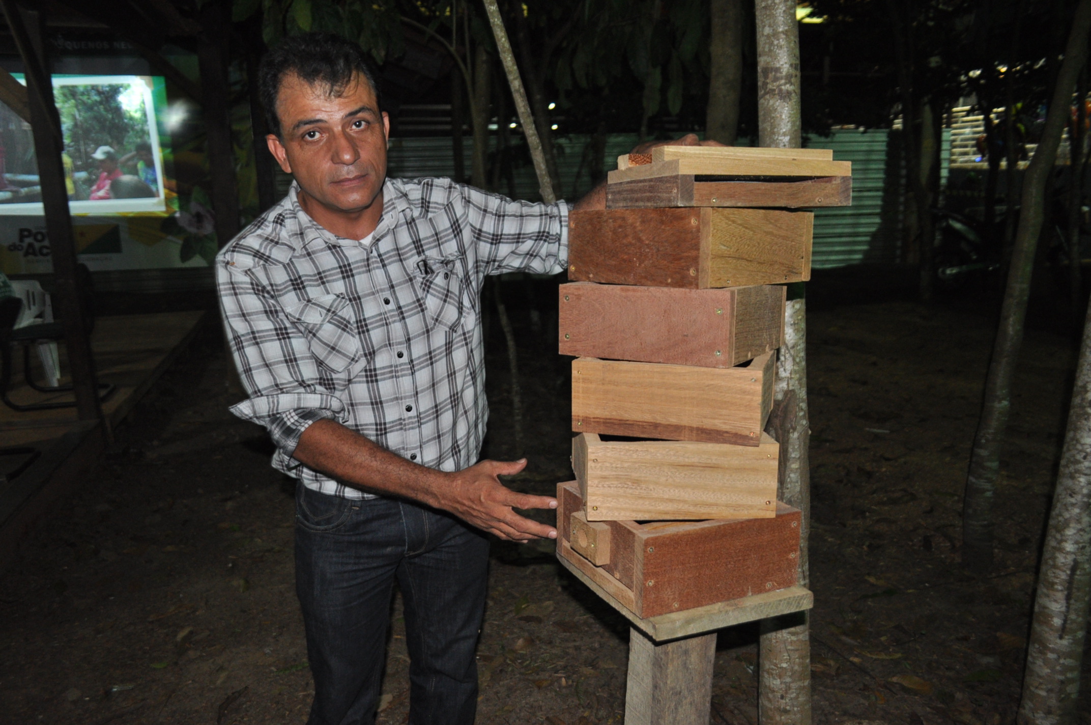 especialista mostra as colmeias