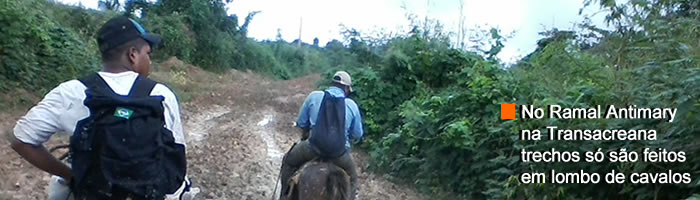 RAMAIS DO POVO - CAVALO